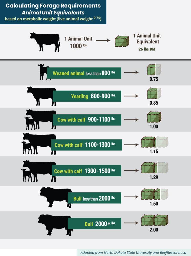 calculating forage requirements using animal unit equivalents