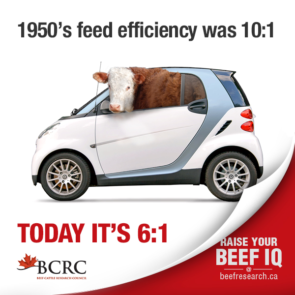 1950's feed efficiency was 10:1 today it's 6:1