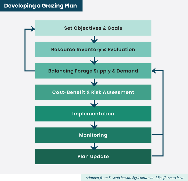 developing a grazing plan