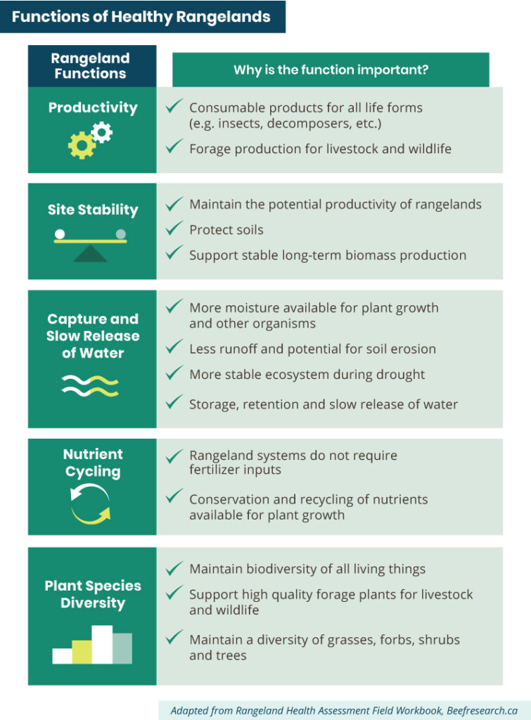 functions of healthy rangelands