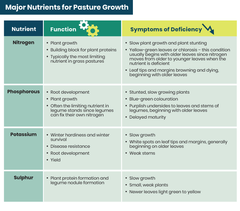 major nutrients for pasture growth