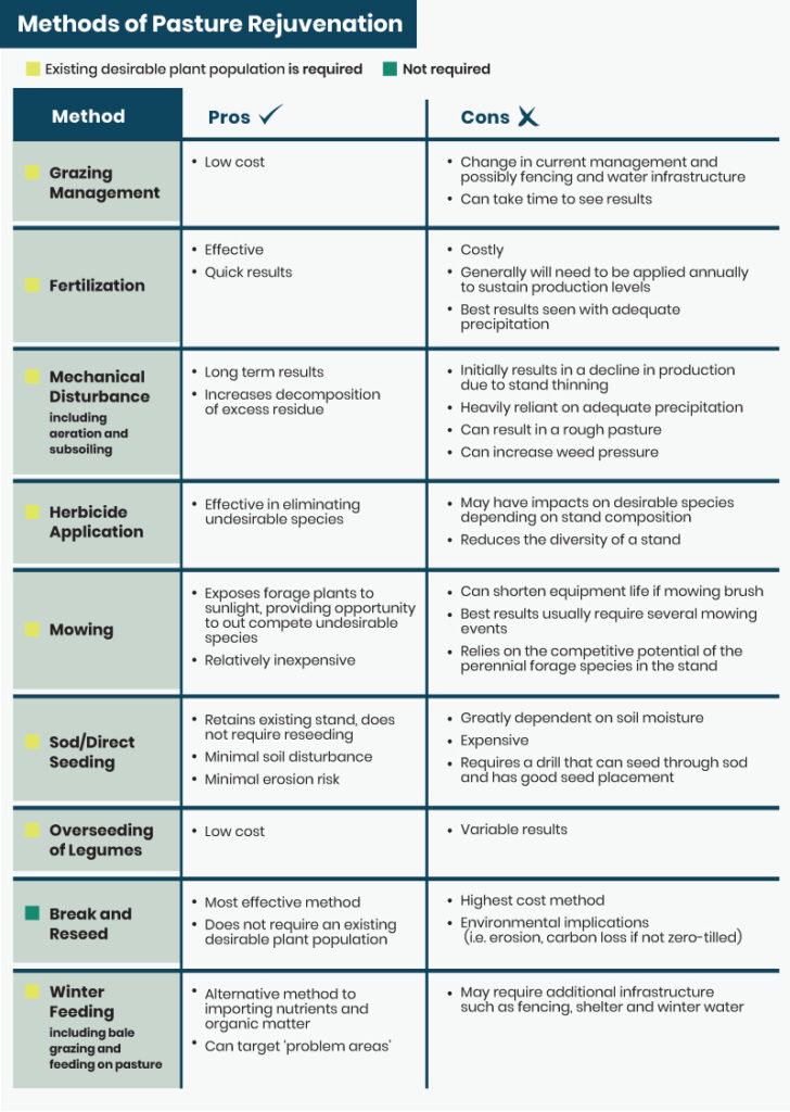 methods of pasture rejuvenation