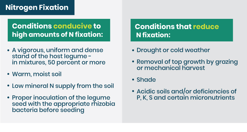 nitrogen fixation conditions conducive to high amounts and conditions that reduce N fixation