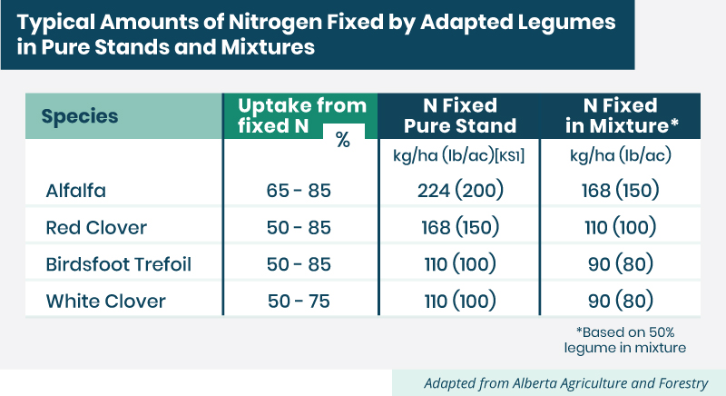 typical amounts of nitrogen fixed by adapted legumes in pure stands and mixtures