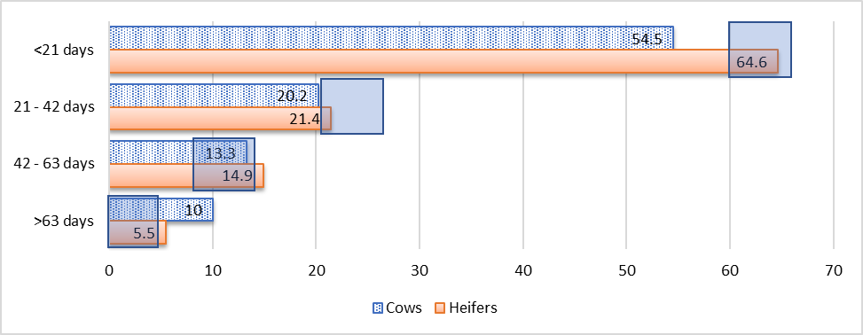 Percentage of females calving in each 21 day period