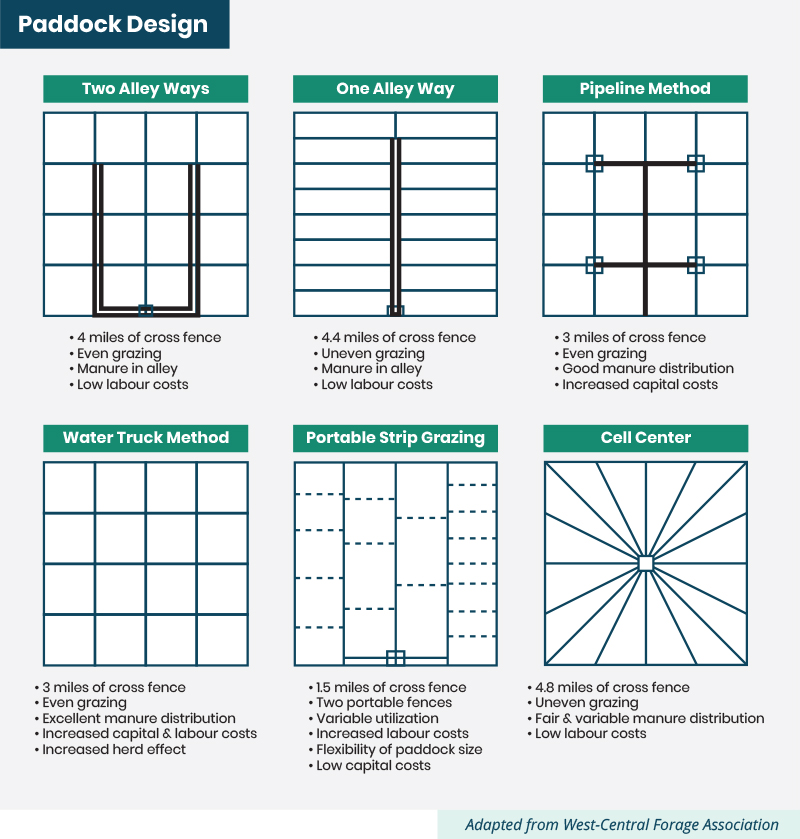 paddock design chart