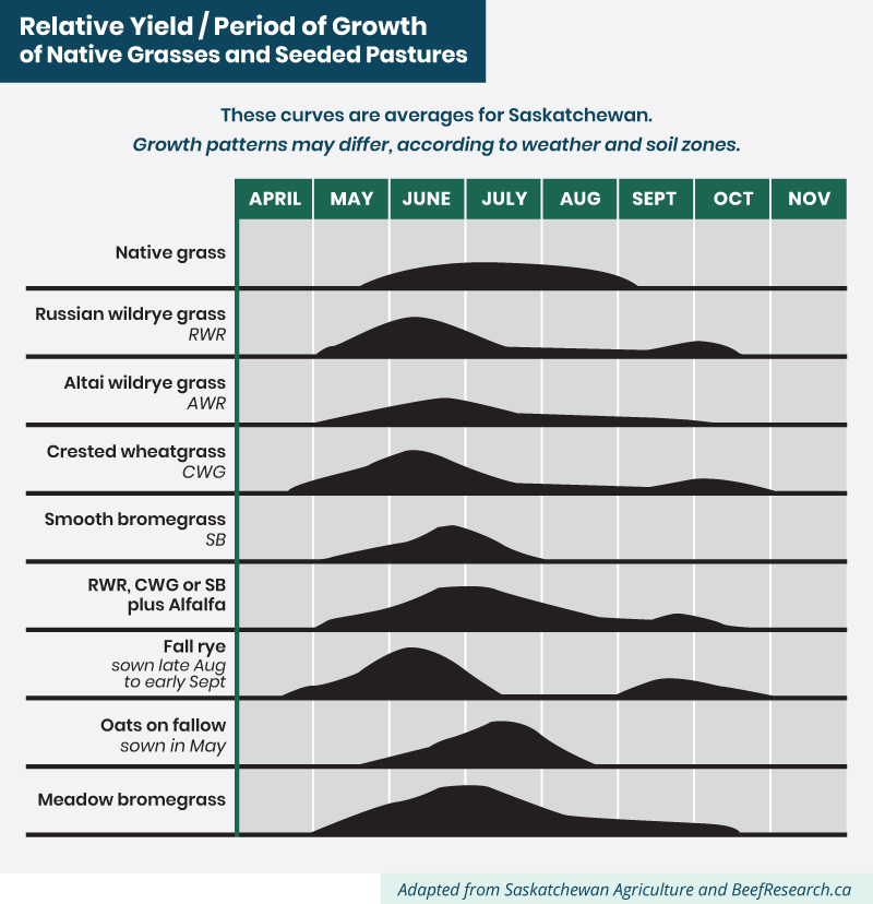 relative yield/period of growth of native grasses and seeded pastures