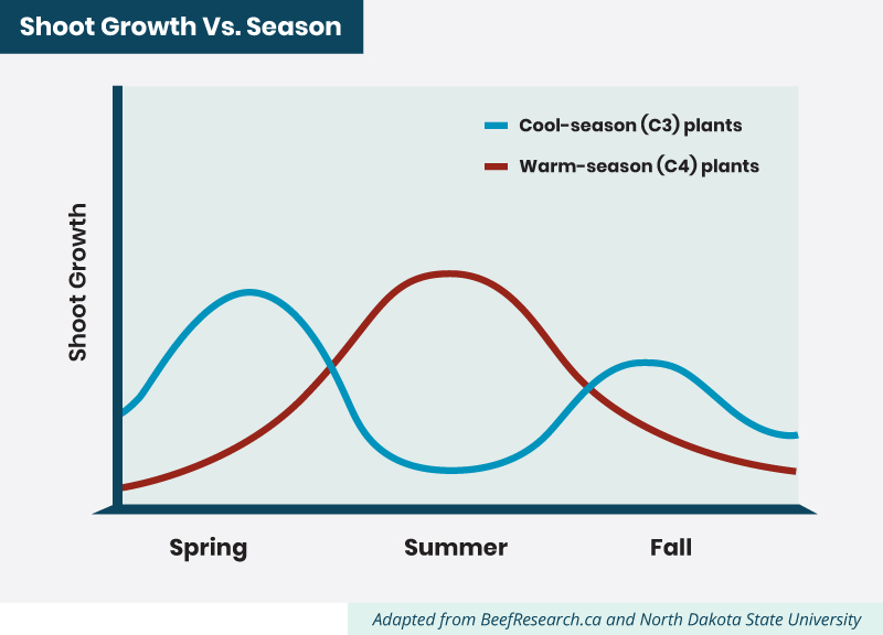 shoot growth vs. season