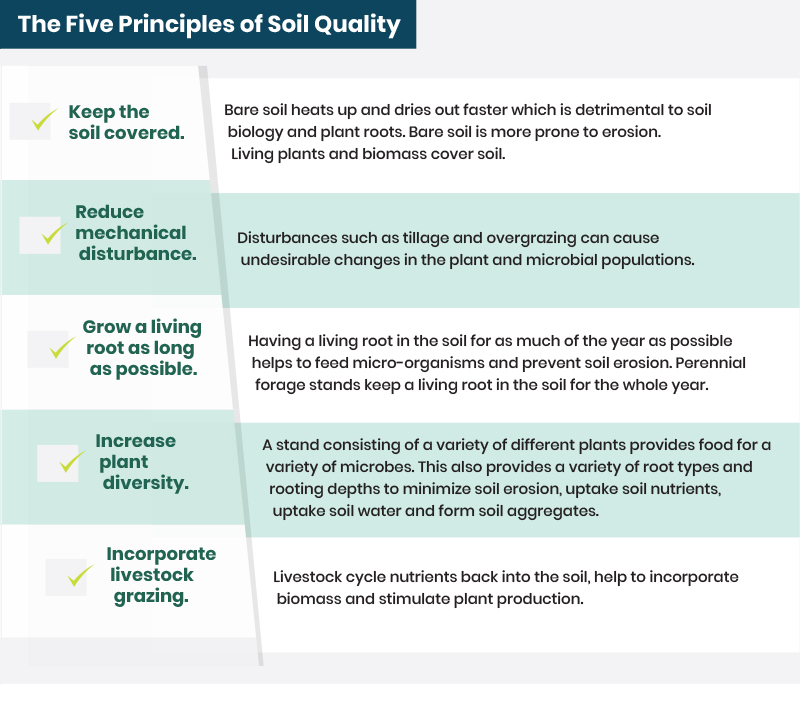 the five principles of soil quality