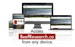 Access the new, improved BeefResearch.ca from any device.