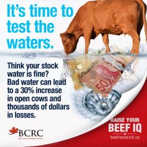 It's time to test the waters. Think your stock water is fine? Bad water can lead to a 30% increase in open cows and thousands of dollars in losses.
