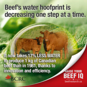 Beef's water footprint is decreasing one step at a time, It now takes 17% less water to produce 1 kg of Canadian beef than in 1981, thanks to innovation and efficiency. 