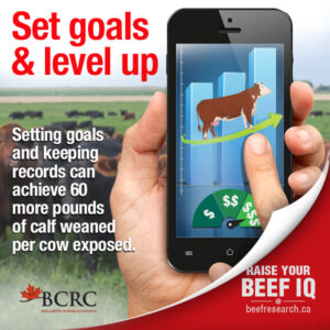 set goals and level up. Setting goals and keeping records can achieve 60 more pounds of calf weaned per cow exposed.