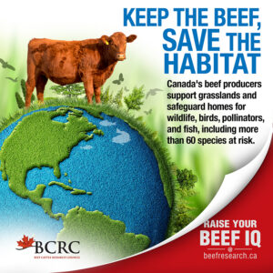 keep the beef, save the habitat. Canada's beef producers support grasslands and safeguard homes for wildlife, birds, pollinators and fish, including more than 60 species at risk.