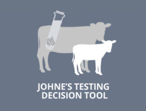 Beef Cattle Research Council Johne's Testing Decision Tool