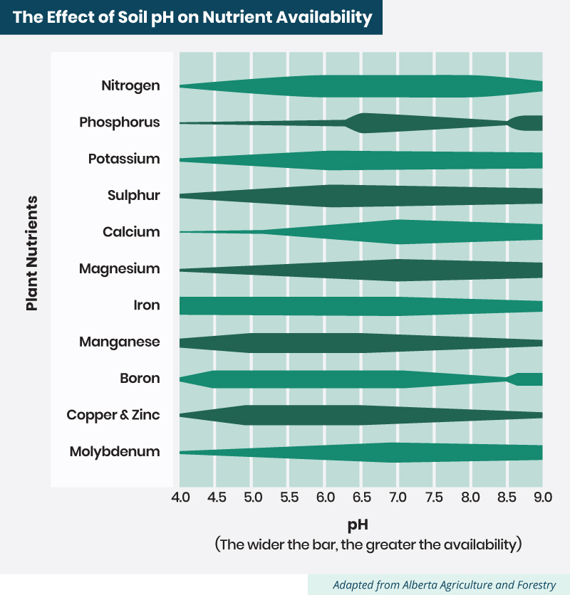 the effect of soil pH on nutrient availability 