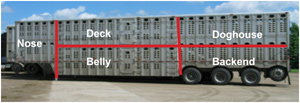 Commercial cattle transport trailer