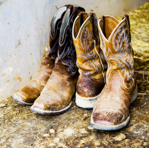 dirty cowboy boots -- cleaning to remove organic materials and disinfecting to destroy pathogens