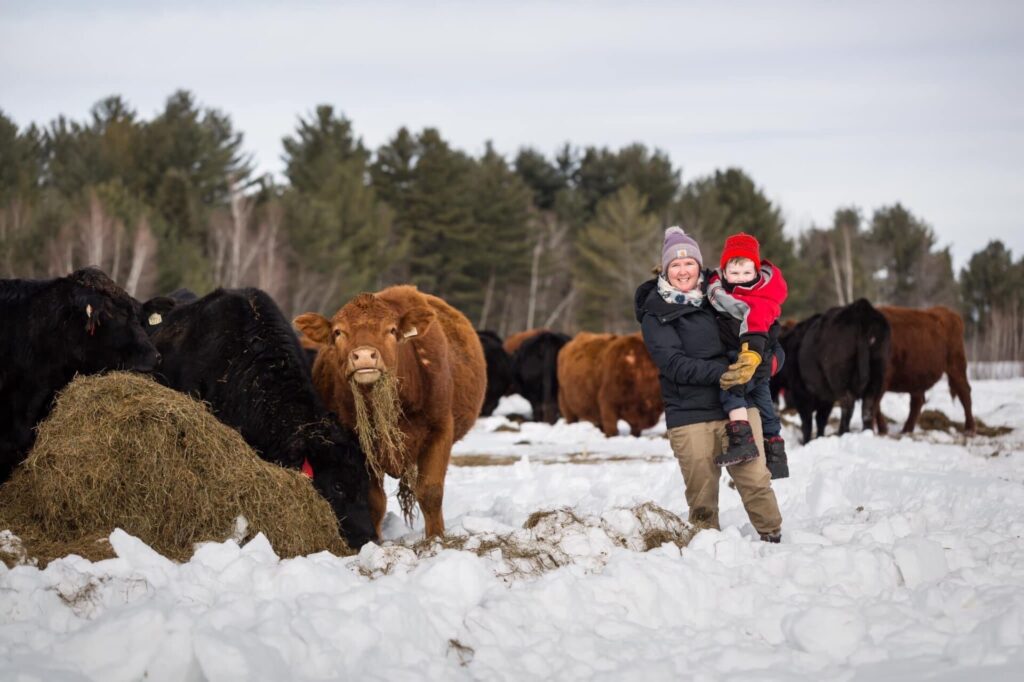 Rosemarie Allen and her beef cattle eating hay bales in winter snow on Quebec family farm Le Gourmand Paysan