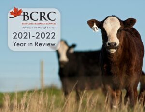 2021-2022-bcrc-year-in-review