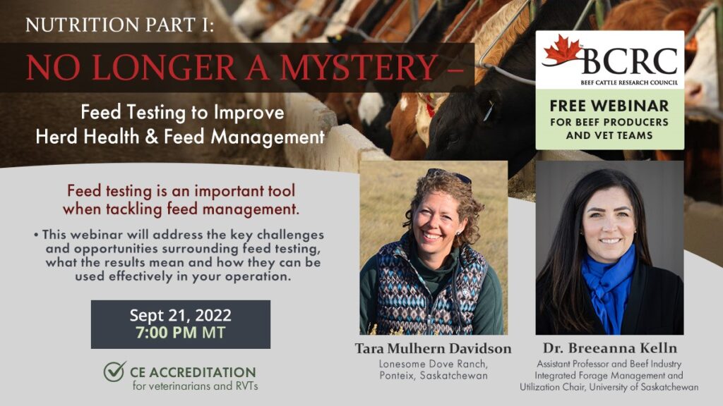 beef nutrition webinar - feed testing to improve herd health and feed management