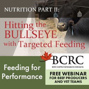 targeted feeding webinar