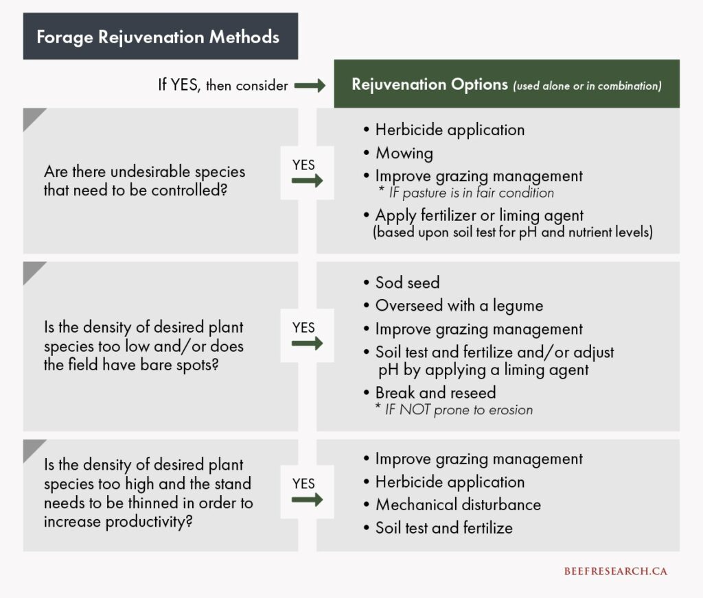 Forage rejuvenation methods