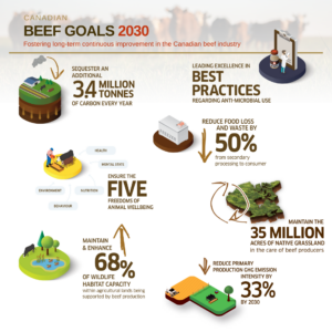 Beef Goals 2030