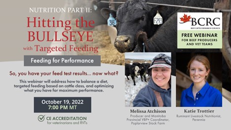targeted feeding for performance cattle nutrition webinar
