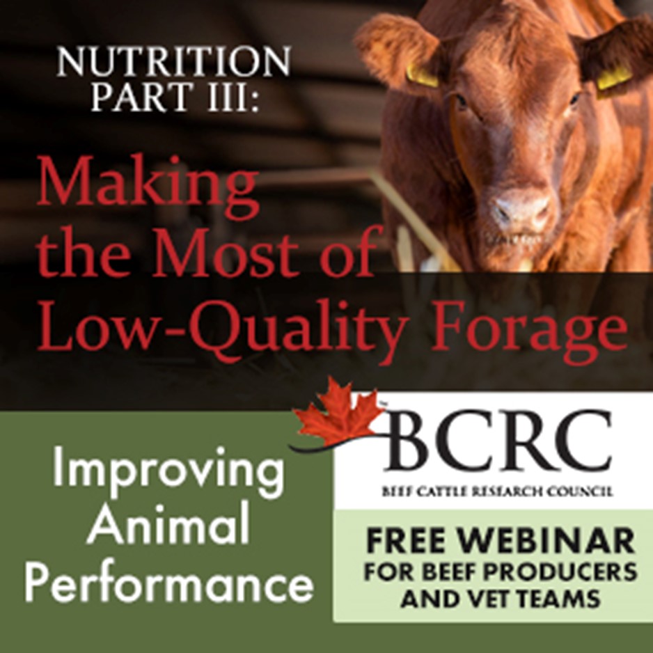 beef nutrition webinar 3