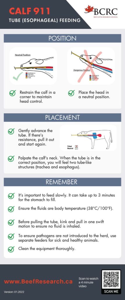 tube esophageal feeding checklist