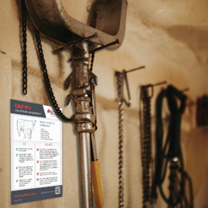 Calf 911 checklists posted on calving barn wall with calving jack and calving tools