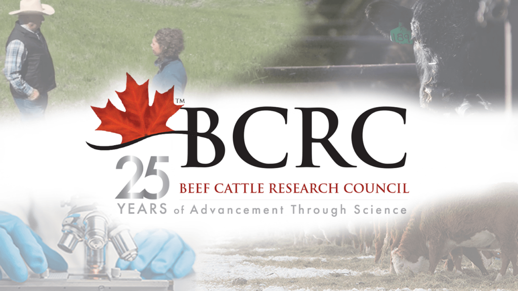 Celebrating 25 years of beef research in Canada