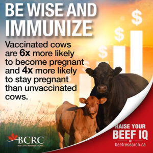 be wise and immunize cattle