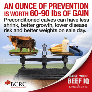 An ounce of prevention is worth 60-90lbs of gain