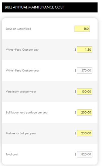 Bull annual maintenance cost information from Bull Valuation Calculator