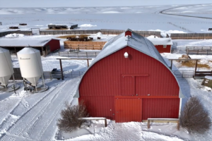 the Haraga Ranch in Skiff, Alberta, Canada