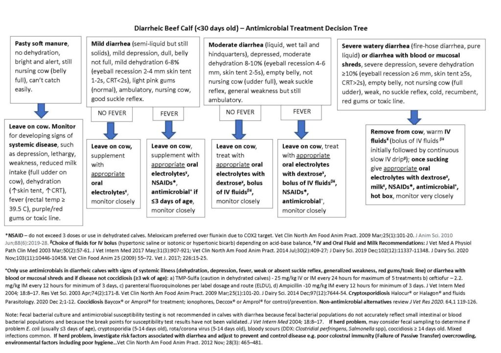 Beef Calf Diarrhea Decision Tree