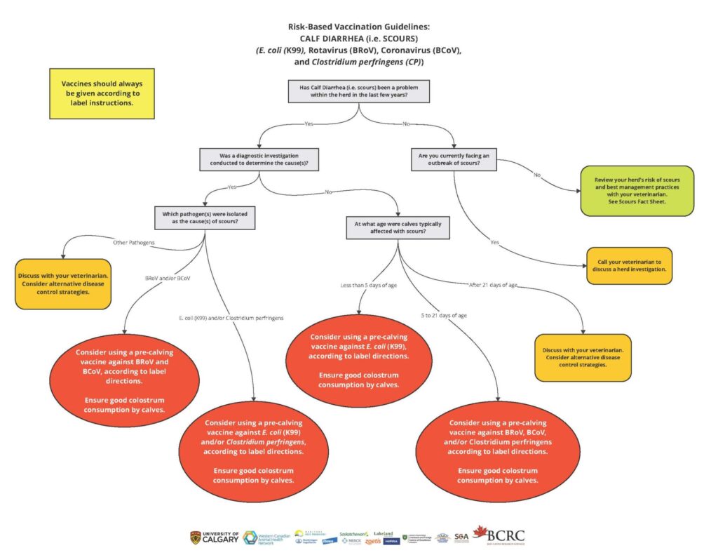 diarrhea vaccination guidelines