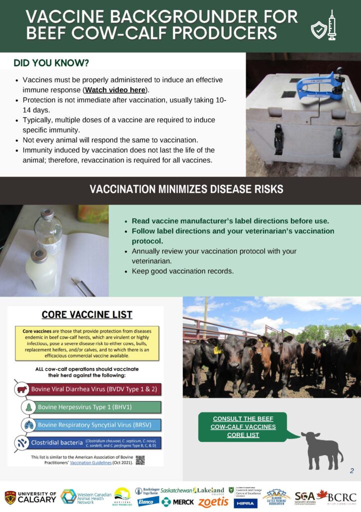vaccine backgrounder for beef cow-calf producers, page 2