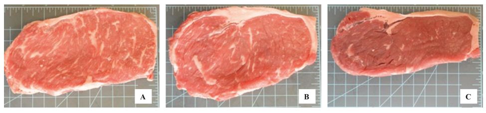 A comparison of strip loins from  conventional beef, dairy-beef cross and conventional dairy