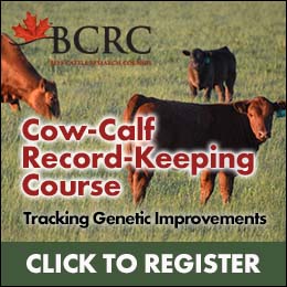 Cow-Calf Record-Keeping Course on Tracking Genetic Improvements
