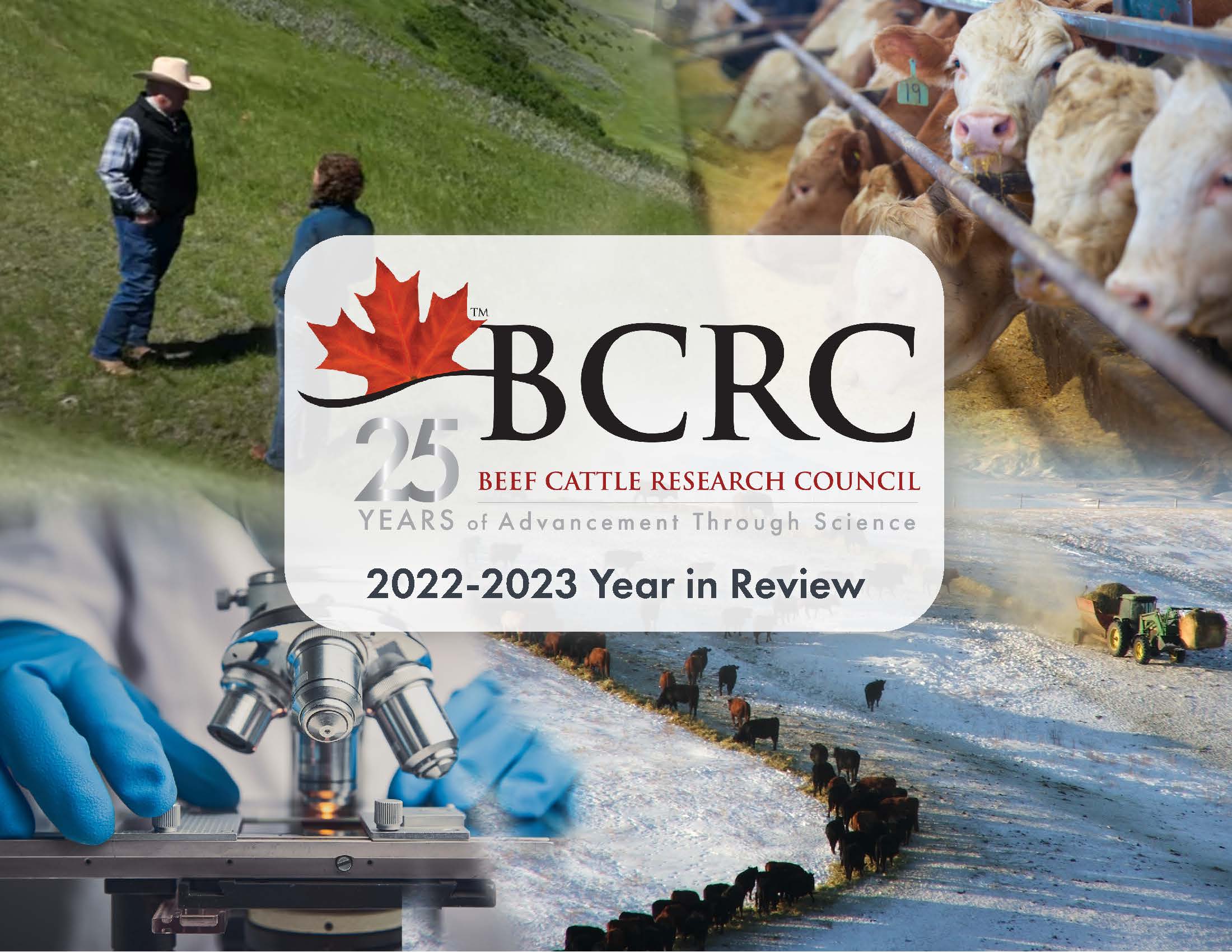 2022-23 BCRC year in review stakeholder report