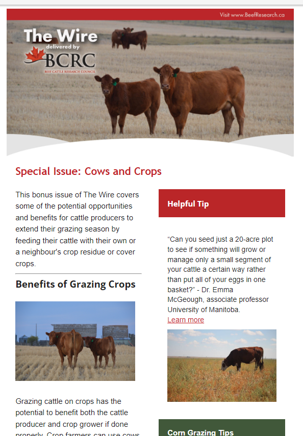 crop grazing special issue of The Wire e-newsletter