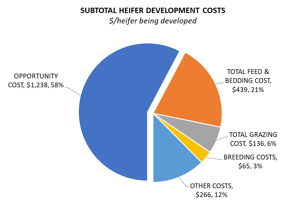 subtotal heifer development costs