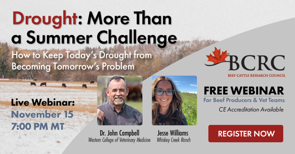 Beef cattle webinar: Drought: More than a Summer Challenge