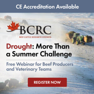 BCRC Beef Webinar: Drought is more than a summer challenge