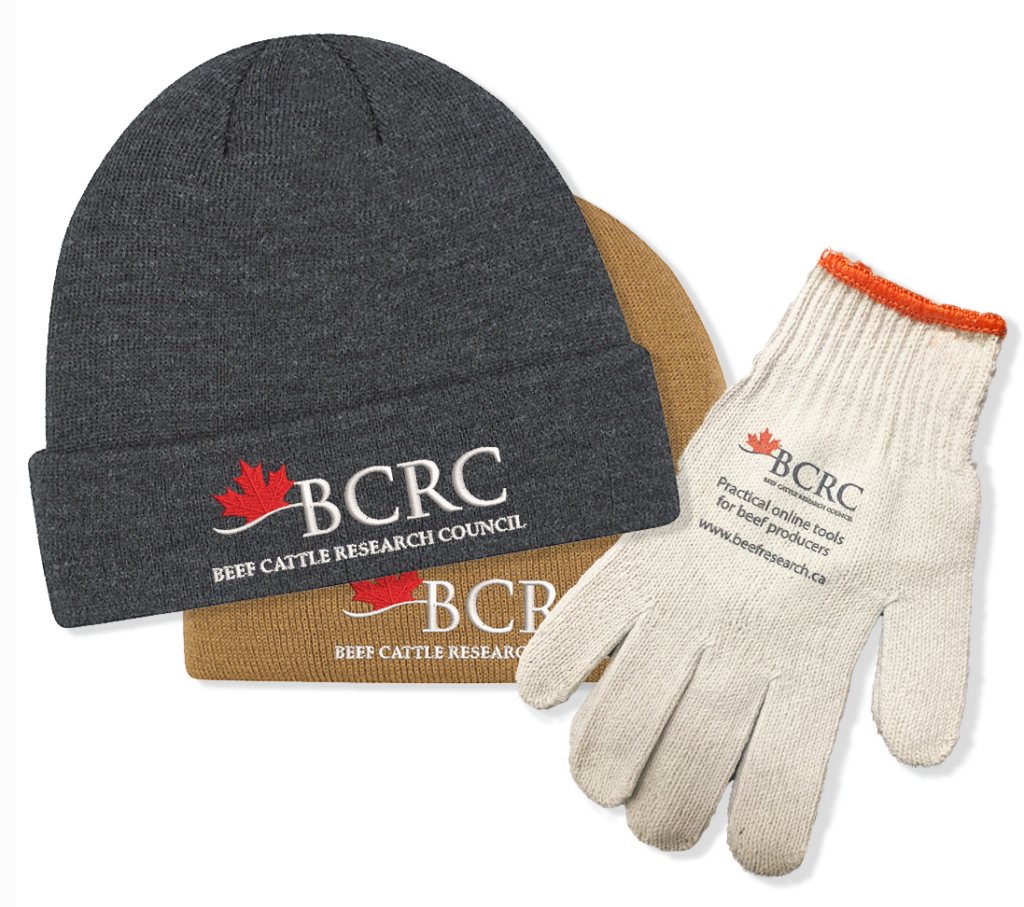 beef cattle research council toque and gloves