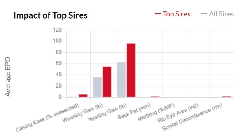 impact of top sires due to genetic traits