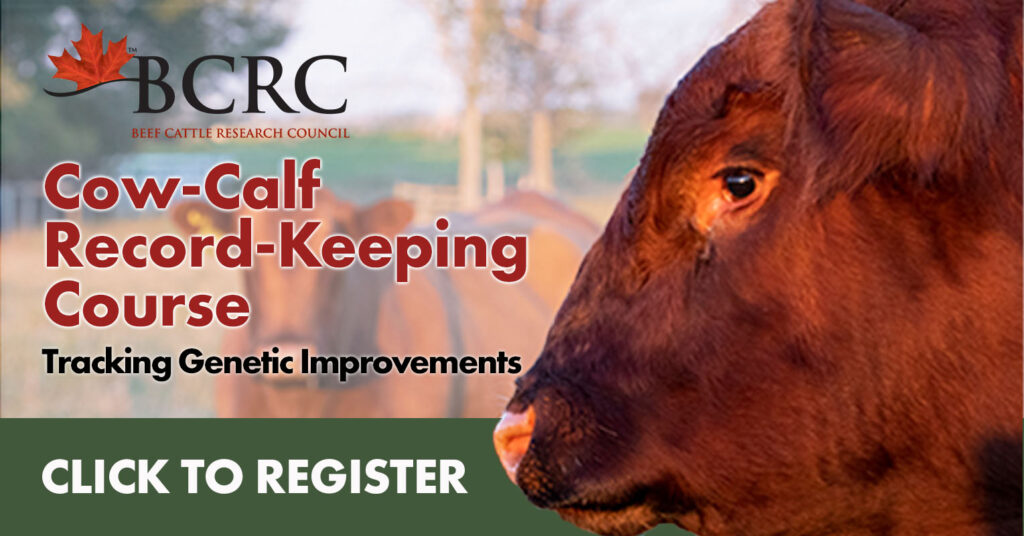 genetics record-keeping course for beef producers
